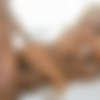 [Colette.com]    29.01.2015 [All Sex, Threesomes, Anal, DP] [4000x2668, 1778 , 21 ] thumb