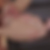 [AssHoleFever.com / 21Sextury.com]Alice Klay(Buttplug Boss)[2025 ., Gonzo, All Sex, Hardcore, Anal, 1080p] thumb
