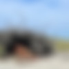 [CockyBoys.com] Justin Matthews (k Taylor/SC) & Ollie [2017, Anal Sex, Big Dick, Blowjob, Cumshot, Kissing, Masturbation, Muscles, Outdoors, Rimming, Tattoos, Uncut., 720p] thumb