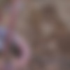 [X-Art.com] Alex Grey (Among The Wildflowers / 31.07.2015) [All sex, Blowjob, Blonde, Teen, Hardcore, 720p, HDRip] thumb