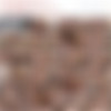 [CorbinFisher.com] Sharing Jordan [19.10.2022., Bisexual, Bareback, Oral/Anal Sex, Vaginal Sex, Threesome, Hardcore, Cumshots,.1080p,HDRip] thumbnail