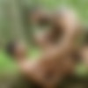 [CockyBoys.com] Rikk York & Kris Karr! [2016 ., Anal Sex, Big Dicks, Blowjob, Cumshots, Fingering, Hairy, Interracial, Kissing, Masturbation, Muscles, Outdoors, Rimming, Tattoos, Uncut., 720p] thumb