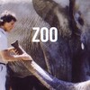Zoo [1993] / H264 / MKV / WEB / 1080p / AAC / Subs thumb