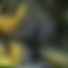 [2000 ., , all sex, CamRip] thumb