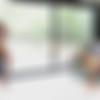 [RandyBlue.com] RB3226 Preston Cole creampies Devon Felix [2016 ., Anal/Oral Sex, Cumshots, Rimming, Tattoos, Muscles, Bareback, Interracial, Creampie, 720p] thumb