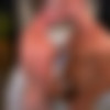 [SeanCody.com] SC-2480 Josh & Brayden: Bareback [2018 ., Anal Sex, Bareback, Blowjob, Cumshots, Hairy, Kissing, Masturbation, Muscles, Real BF, Rimming, Tattoos., 720p] thumb