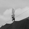 Circus Angel [1965] / H264 / MKV / Blu-ray / 1080p / FLAC / French / Subs thumb