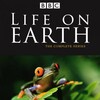 Sir David Attenborough Life On Earth 1979 DVDRip XviD-VoMiT thumb