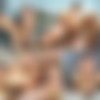 [SeanCody.com] SC-2397 Brock & Jayden: Bareback [2018 ., Anal Sex, Bareback, Big Dick, Blowjob, Cumshots, Kissing, Masturbation, Muscles, Tattoos., 720p] thumb
