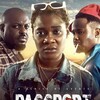 Passport 2022 720p NF WEB-DL AAC2 0 x264-OzONE thumb