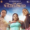 The Wildflower 2022 1080p NF WEB-DL AAC2 0 x264-OzONE thumb