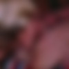 Fourgy /     (Bill Clayton, Falcon Studios) [1980 ., Twinks, Young Men, Oral, Anal, Hunks, Big Dick, Rimming, Orgy, Group, Masturbation, Cumshots, DVD5] thumb