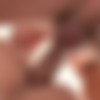 [BelAmiOnline.com] (10548) Condom Free: Robin Michaux, Brian Jovovich [2016 ., Anal Sex, Bareback, Blowjob, Cumshot, Facial, Kissing, Masturbation, Muscles, Rimming, Uncut., 810p] thumb