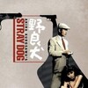 Stray Dog 1949 2160p BluRay SDR AC3 1 0 x265-PiG30N thumb