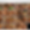 [Wicked.com] Allie Haze, Chanel Preston, Dana DeArmond, Lexi Belle, Stormy Daniels (