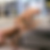 [RandyBlue.com] 2596 / Andrew & Sean (Andrew Jakk & Sean Zevran) [2013 ., Duet, Kissing, Oral Sex, Rimming, Fingering, Anal Sex, Condom, Masturbation, Cumshots, Facial, Muscles, 720p, SiteRip] thumb