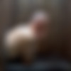 [CzechGayFantasy.com / CzechGAV.com] Czech Gay Fantasy 2 Part 1-10 [2016 ., Bareback, Group, Anal, Oral, Rimming, Gloryhole, Blowjob, 720p] thumb