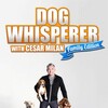 Dog Whisperer With Cesar Millan S06E01 1080p WEB H264-SKYFiRE thumb