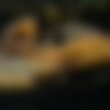 [2000 ., , all sex, CamRip] thumb