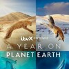 A Year on Planet Earth S01E04 1080p WEBRip x264-BAE thumb