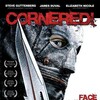 Cornered 2009 1080p BluRay Remux AVC DTS-HD MA 5 1-TdR thumb