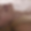 [X-Art.com] Alex Grey (Among The Wildflowers / 31.07.2015) [All sex, Blowjob, Blonde, Teen, Hardcore, 1080p, HDRip] thumb