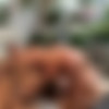[JustFor.Fans] Jonas Jackson, John Thomas, Max [2019 ., Anal Sex, Bareback, Blowjob, Big Dicks, Cumshots, DAP?, Facial, Flip-Flop, Fuck Sandwich, Hairy, Kissing, Muscles, Masturbation, Niples Play, Piercing, Rimming, Tattoos, Threesome., 720p] thumb