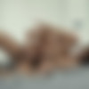 [JoyMii.com] Lexi D. ( Pleased Bunny / 15.08.15) [2015 ., all sex, 720p] thumb