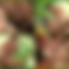 [CorbinFisher.com/cfselect.com] CFS0350 - Tyson Piledrives Zeb [2013 ., Anal Sex, Bareback, Blowjob, Cumshots, Facial, Kissing, Masturbation, Muscles, Tattoos., 720p] thumb