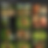 Dossiers: nymphomanes en ruts /  - 