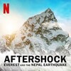 Aftershock Everest And The Nepal Earthquake 2022 Limited Series WEB MULTi 1080p AVC D DPL 5 1 - EFPG thumb