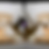 [TmwVRnet.com / TeenMegaWorld.net] Kate Quinn - Anniversary Day Creampie [2025 ., All Sex, Brunette, Hardcore, Straight, Natural Tits, POV, Creampie, VR, 7k, 3584p] [Oculus Rift / Vive] thumb