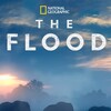 The Flood [2018] / H264 / MKV / WEB / 1080p / AC3 / Subs / NTb thumb