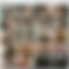 ( /  ) [2008 ., , DVD5 ()] thumbnail