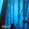 Reef Wrecks S01 1080p AMZN WEB-DL DDP2 0 H 264-NTb thumb