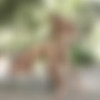 [BelAmiOnline.com] (10297) Condom Free Archive: Sascha Chaykin, Phillipe Gaudin [2016 ., Anal Sex, Bareback, Big Dicks, Blowjob, Cumshot, Facial, Kissing, Masturbation, Muscles, Outdoors, Rimming, Uncut., 816p/1080p] thumb