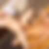 [SeanCody.com] SC-2549 Jayce & Sean: Bareback [2019 ., Anal Sex, Bareback, Big Dick, Blowjob, Cumshots, Flip-Flop, Hairy (Shawed), Interracial, Kissing, Masturbation, Muscles, Rimming, Tatoos., 720p] thumb
