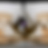 [TmwVRnet.com / TeenMegaWorld.net] Kate Quinn - Anniversary Day Creampie [2025 ., All Sex, Brunette, Hardcore, Straight, Natural Tits, POV, Creampie, VR, 7k, 3584p] [Oculus Rift / Vive] thumb