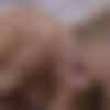 [X-Art.com] Alex Grey ( A Deep Awakening (Alex Grey's First Sex Scene EVER) / 23.06.15) [2015 ., all sex, 720p] thumb