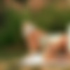 [Pornhub.com] HelloElly .3 (60 ) Pack [2024-2025, Amateur, Anal, Big Ass, Big Cock, Blowjob, Cumshot, Cunnilingus, Creampie, Deep Throat, Doggystyle, Dildo, Exhibitionism, Facial, Handjob, Masturbation, Natural Tits, Public Nudity, Posing, Russian Girls, Squirt, Straight, Teen, Toys] thumb