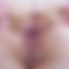 [TrueAnal.com] Lily Lou - Lily’s Love For Anal [04-12-2021, Anal, Blowjob, Gonzo, Hardcore, Oil, 2160p, Upscale] thumb
