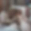 ,  [2015 ., Amateur, All sex, Swallow, WEB-DL] thumb