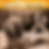 Continental film review [Erotic] [1976, GBR, JPG] thumb