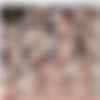 [Venus-Lux.com] Venus Lux / Sequin Stroke (14 Feb 2015) (Venus Lux Entertainment) [2015 ., Shemale, Tranny, Solo, Posing, Masturbation, SiteRip] thumb
