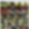 Toolbox /  (Brian Mills, Titan) [2009 ., anal, oral, general hardcore, hunks, condoms, DVD5] thumbnail