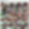 [TrannyTemptation.com / Private.com] Complete SiteRip 2013 [27 Movies] [2013 ., Transsexual, Hardcore, Anal, Bareback, SiteRip] thumb