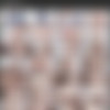 [HussiePass.com] Brickzilla 2160p full pack part 2(2/2) (44 ) Pack [2020-2024, Anal, Asian, Big Ass, Big Cock, Big Tits, Blowjob, Interracial, Latina, MILF, Natural Tits, Petite, Squirt, Teen] thumb