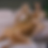 [UltraFilms.com] Amelia Riven & Ivi Rein - Beautiful Pussies [2024, Girl/Girl, Lesbian, Blonde, Brunette, Natural Tits, Small Tits, Masturbation, Pussy Licking, Kissing, 1080p] thumb
