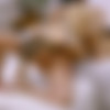 [WowGirls.com] Fibi Euro & Helina Dream - Naughty Ladybirds [2024, Girl/Girl, Lesbian, Blonde, Brunette, Natural Tits, Masturbation, Pussy Licking, Facesitting, Fingering, Kissing, 1080p] thumb