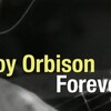 Roy Orbison Forever 2022 1080p WEB h264-BAWD thumb